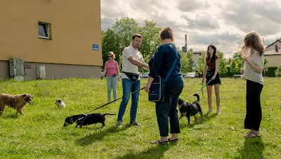 SZNUPKA Behawiorysta| Trener psów